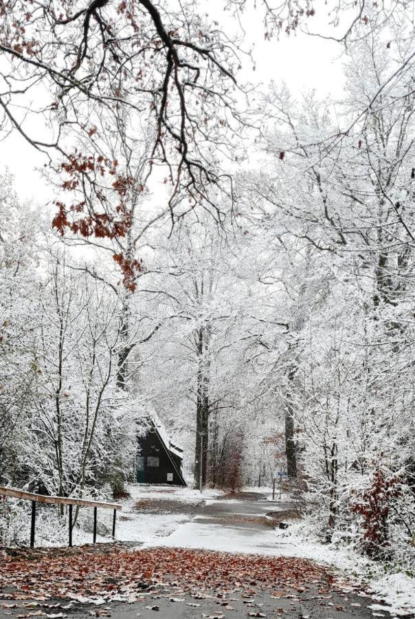 Het Uilennest In Durbuy Βίλα Εξωτερικό φωτογραφία